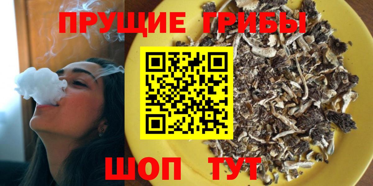 Псилоцибиновые грибы ЛСД  Вход с VPN  Пыть-Ях  Псилоцибиновые грибы GOLDEN TEACHER 