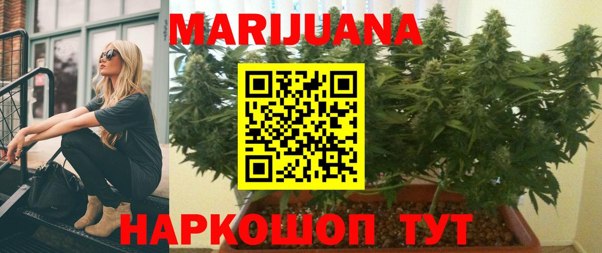 Шишки марихуана планчик Пыть-Ях